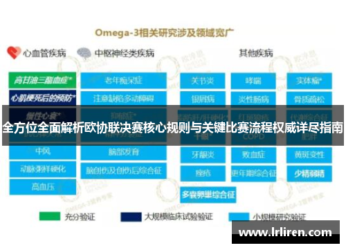 全方位全面解析欧协联决赛核心规则与关键比赛流程权威详尽指南